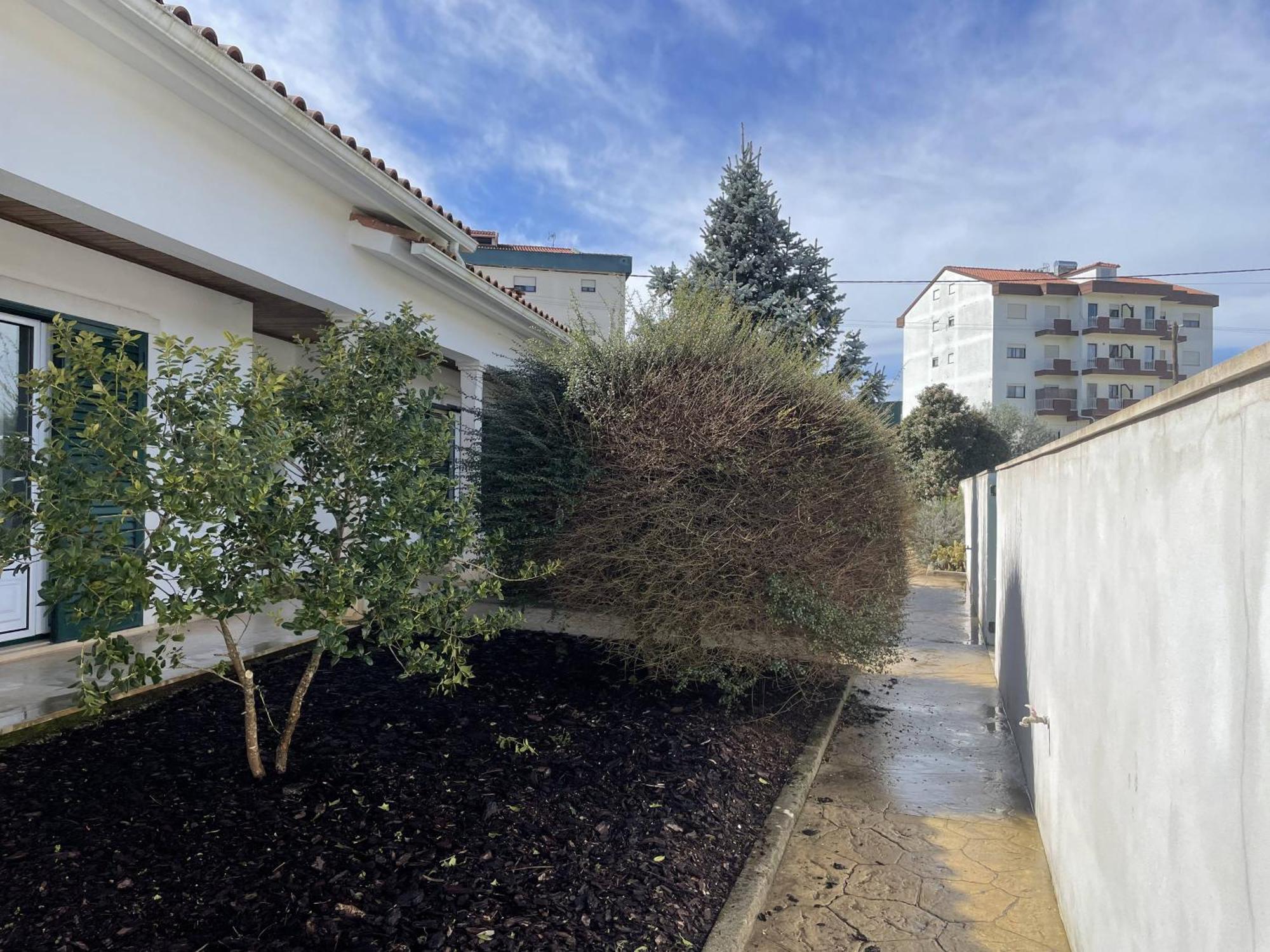 Casa Com Alma Guest House Fatima Bagian luar foto